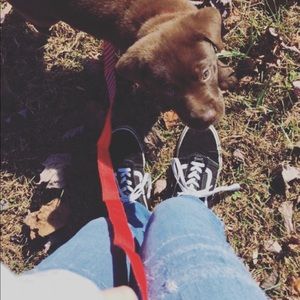 Meet your Posher, Kylee